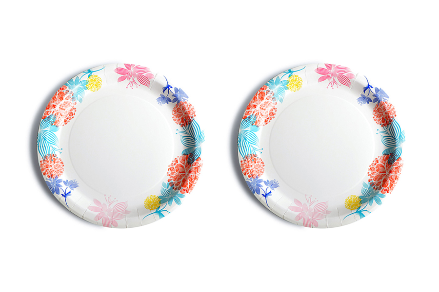 Is It Better Buying Reusable or Disposable Dinnerware for Wedding