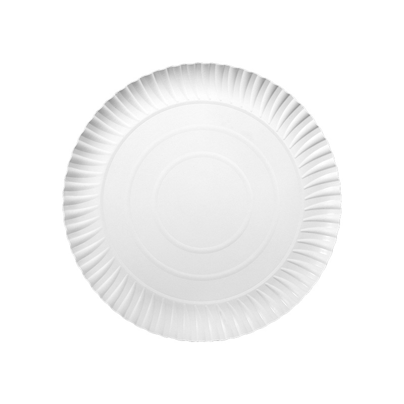 Professional Large White Paper Plates