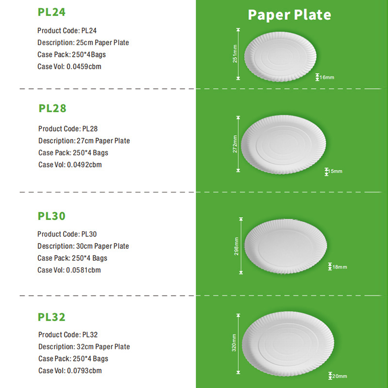 Professional Large White Paper Plates Professional Large White Paper Plates